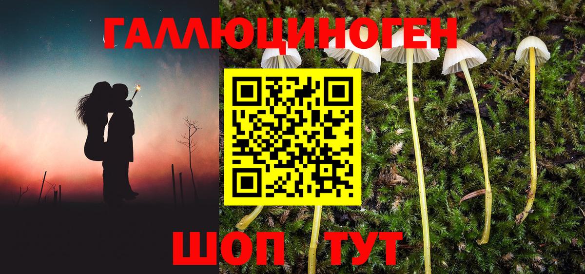 Псилоцибиновые грибы GOLDEN TEACHER Сергиев Посад